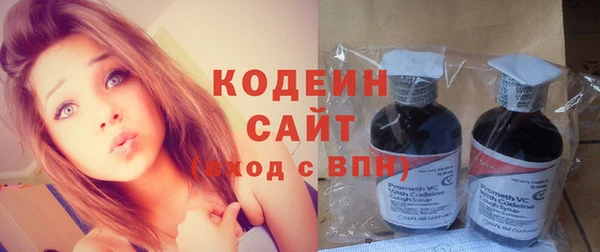 гашик Новозыбков