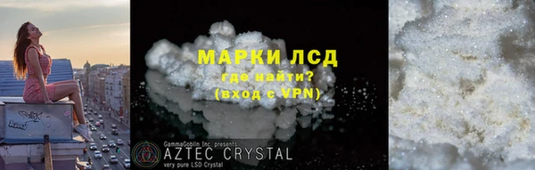 прущие грибы Бабаево