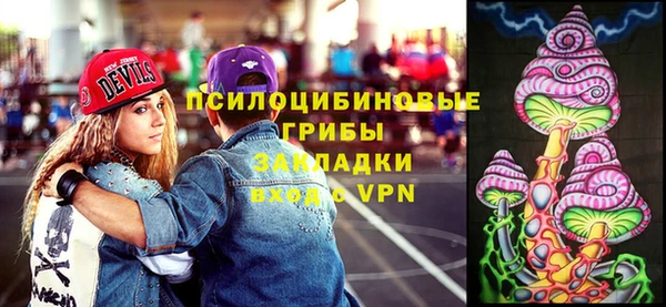 гашик Новозыбков