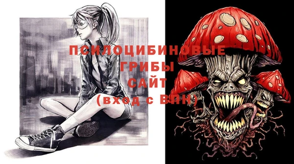 гашик Новозыбков