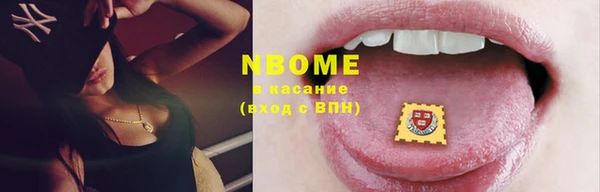 гашик Новозыбков