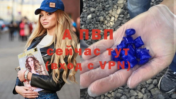 гашиш Новодвинск