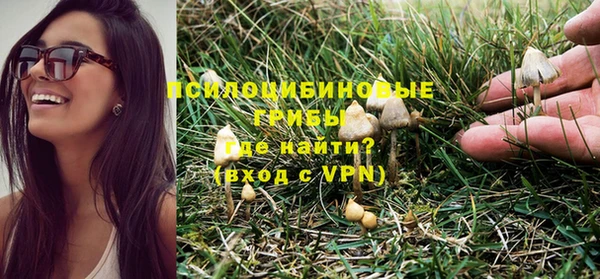 эйфоретик Новокубанск
