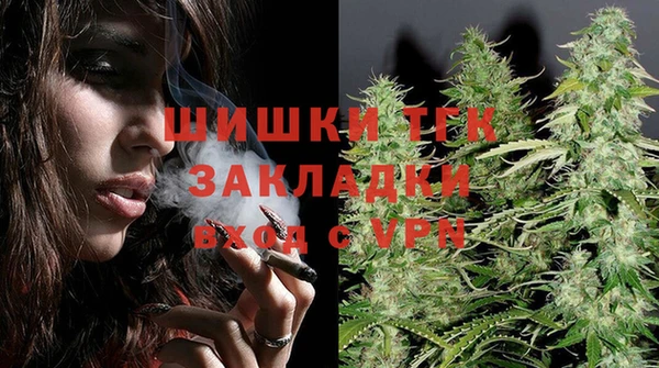 гашик Новозыбков