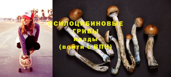 гашиш Новодвинск