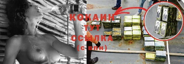 гашик Новозыбков